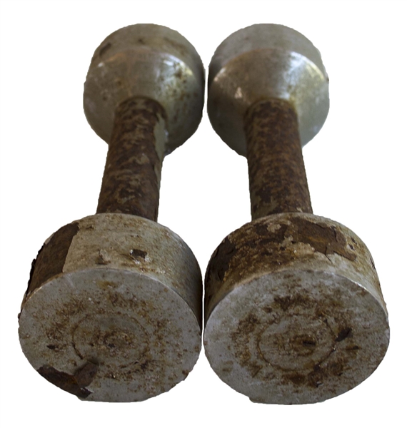 Bruce Lee Owned & Used Five-Pound Weider Weights -- From the Estate of Lee's Protege Herb Jackson